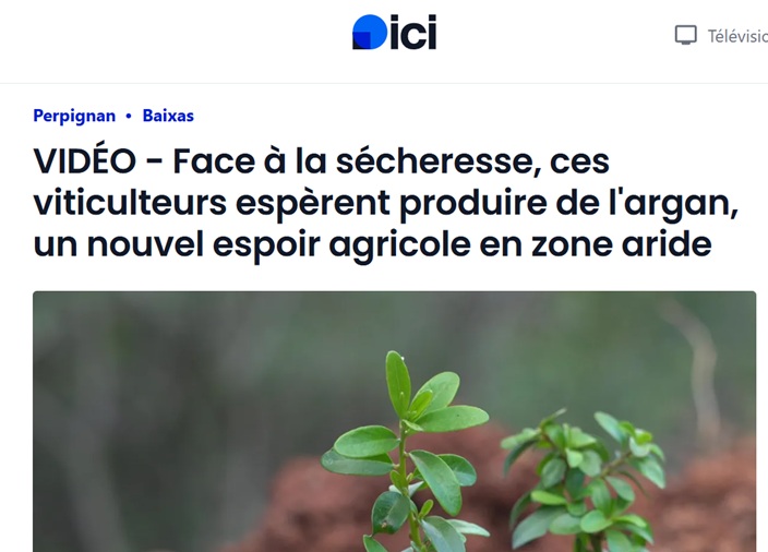 ici