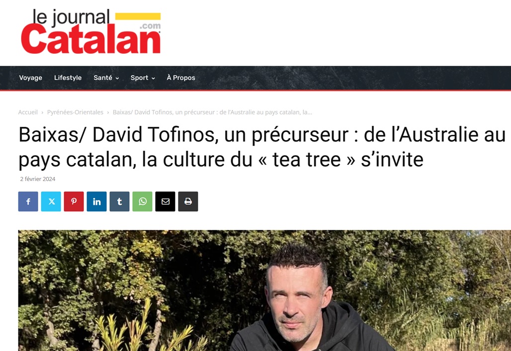 journal catalan
