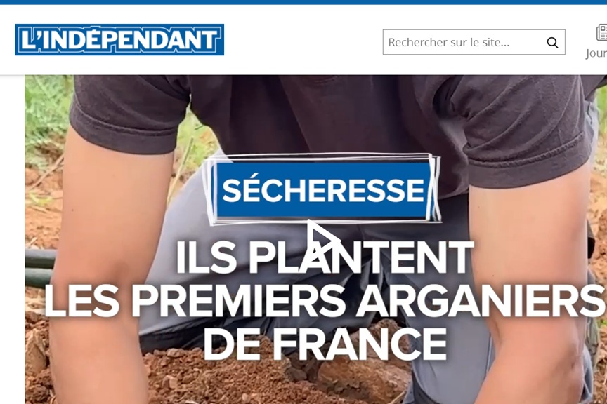 l'indé
