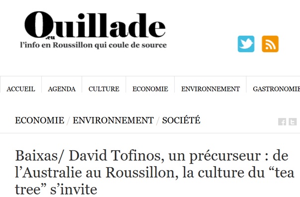 ouillade